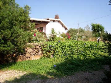 Agriturismo S' Ozzastru - Dorgali - Sardinië 